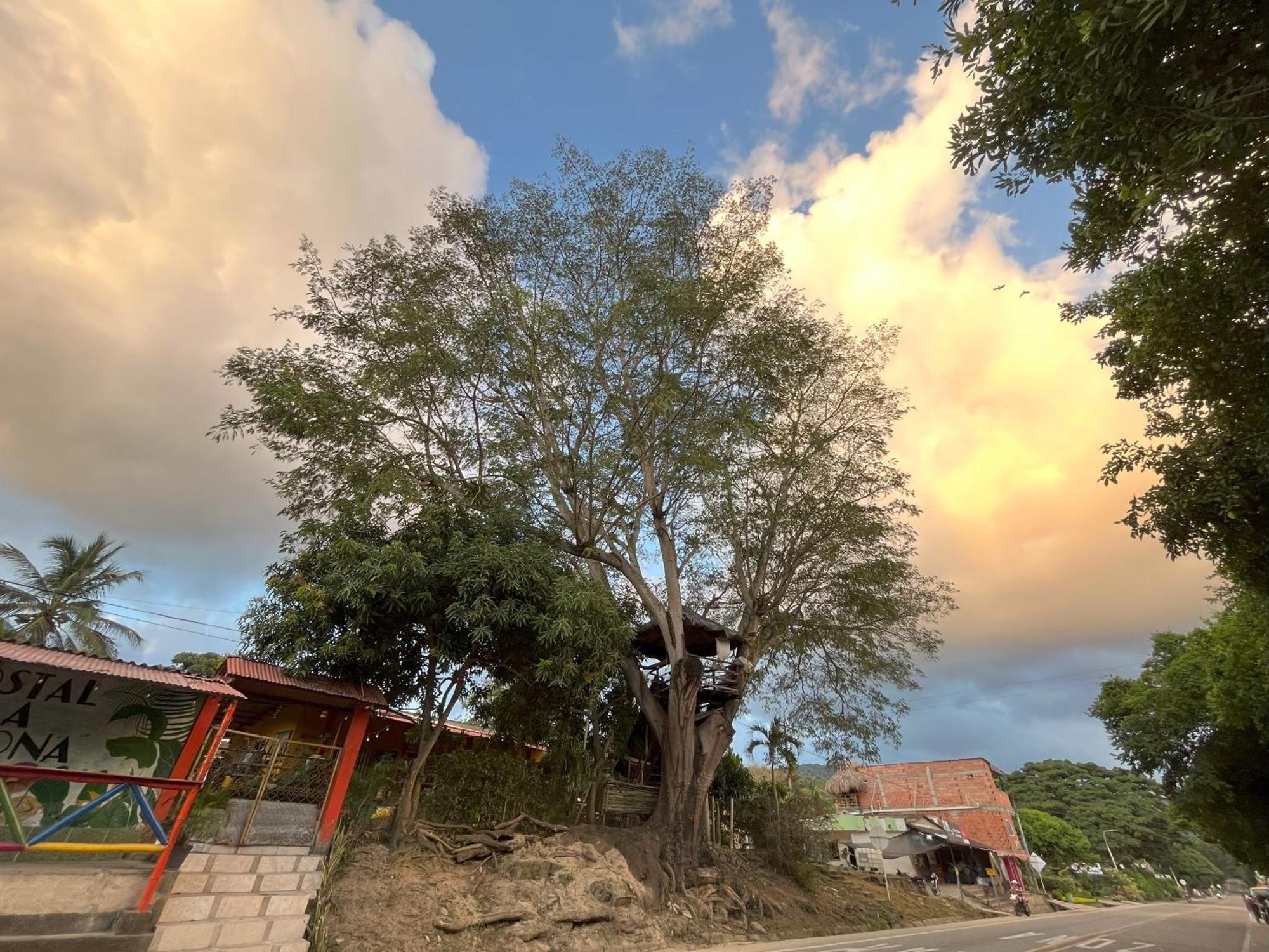 Bed and Breakfast La Casona Del Tayrona By Gastro Host El Zaino Exterior foto